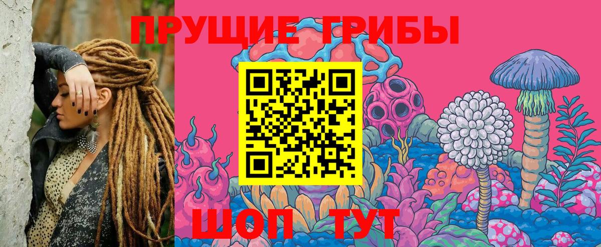 Озёры  Галлюциногенные грибы мухоморы  Вход с VPN 